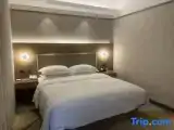 Business Suite