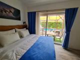 Standard Double room with pool view