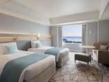 Double Luxury room