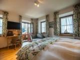 Deluxe Double room with balcony and with mountain view