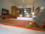 Standard Double room with balcony and with view