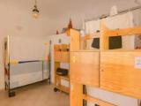 Bed in Dorm