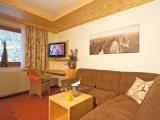 Standard Double room with balcony and with mountain view