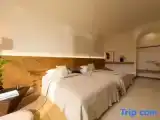 Standard Twin room with garden view