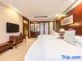 Executive Twin room