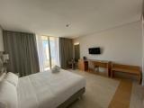 Premium Double room with balcony and with city view