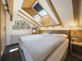 Alpine Roof Suite