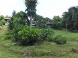 1 Bedroom Double Apartment with ocean view
