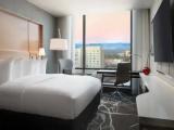 Standard Double room with mountain view
