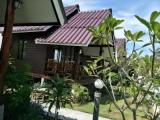 Bungalow with garden view