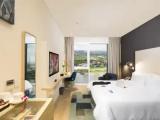 Standard Double room with river view