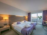 Standard Double room with park side view