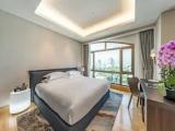 Deluxe Double Suite with city view