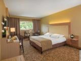 Prestige Double room