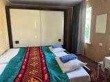 Standard Double room with garden view