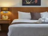 Accessible Double room