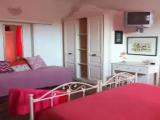 Standard Double Club room
