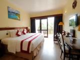 Panorama Double room with garden view