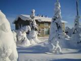 3 Bedrooms Sextuple Family Cottage