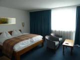 Standard Double room with balcony and with mountain view