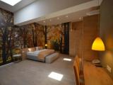 Superior Family room