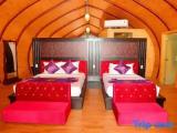 Triple Bungalow