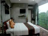 Standard room with mountain view