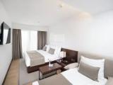 Superior room with balcony and with park view