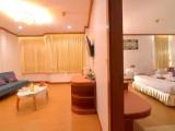 1 Bedroom Suite with city view