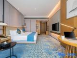 Luxury Twin room with city view