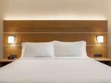 1 Bedroom Double Suite with city view