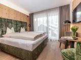 Comfort Double room with mountain view