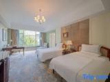 Business Double room with garden view