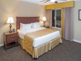 Basement Suite
