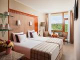 Standard Double room with balcony and with river view