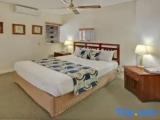 1 Bedroom Basement Apartment