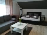Standard Triple Family room
