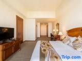 Premium Apartment