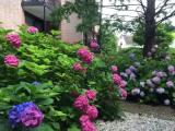 Comfort Double room with balcony and with garden view
