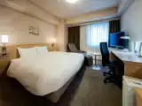 Deluxe Double room with city view