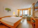 Comfort Double room with balcony and with mountain view