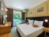 Standard Double room with balcony and with park view