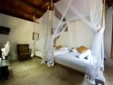 Standard Double room with garden view