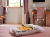 Junior Suite with garden view