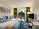 Standard Double room with garden view
