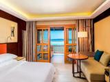 Deluxe Double room with Beach View