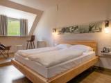 Standard Double room with mountain view
