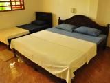 Standard Triple Basement room