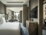 Premier Suite with park view