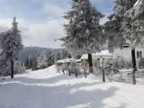 Classic Quadruple room with mountain view